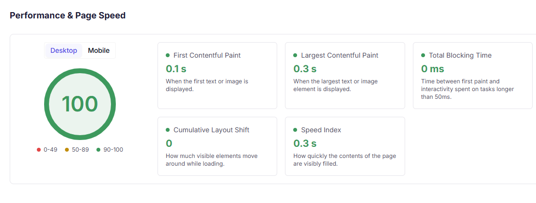 Page speed report for the maintained store: performance score 100, First Contentful Paint 0.1s